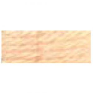 DMC Tapestry Wool Skein 7171