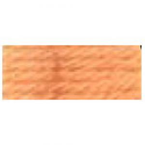 DMC Tapestry Wool Skein 7173