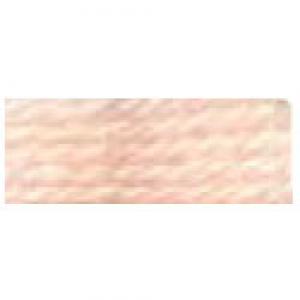 DMC Tapestry Wool Skein 7191
