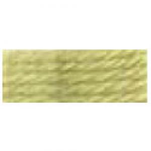 DMC Tapestry Wool Skein 7422