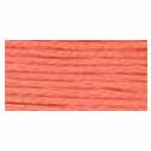 DMC Stranded Cotton 3341