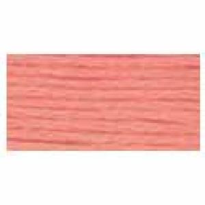 DMC Stranded Cotton 3824