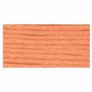 DMC Stranded Cotton 3825