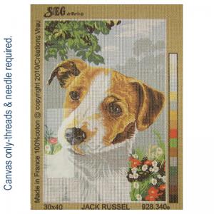 Jack Russell 928.340