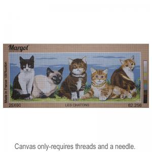 Les Chatons 62.256