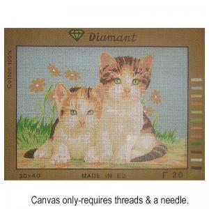 Diamant F20 Kittens