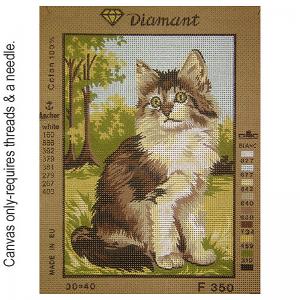 Diamant F350 Black and White Kitten