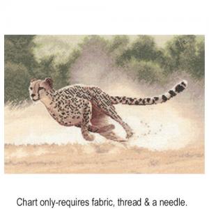 Cheetah PGCH617