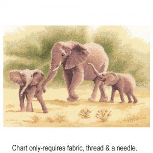 Elephants PGEL646