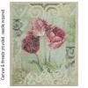 Tulpen 1078 TT