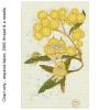 Wattle Babies MG702