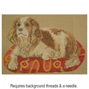 King Charles Spaniel 3728