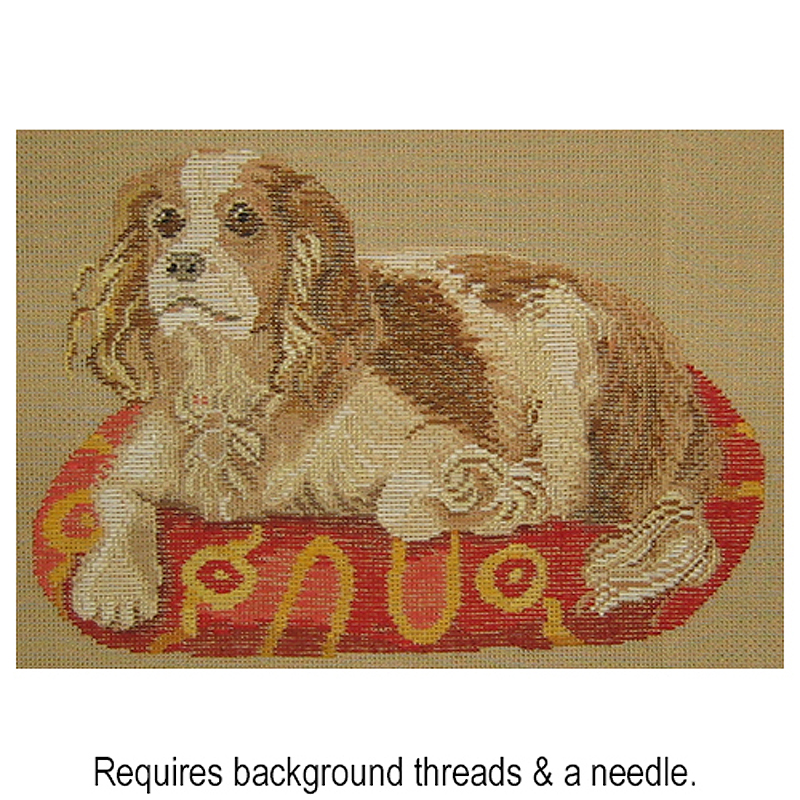 King Charles Spaniel 3728