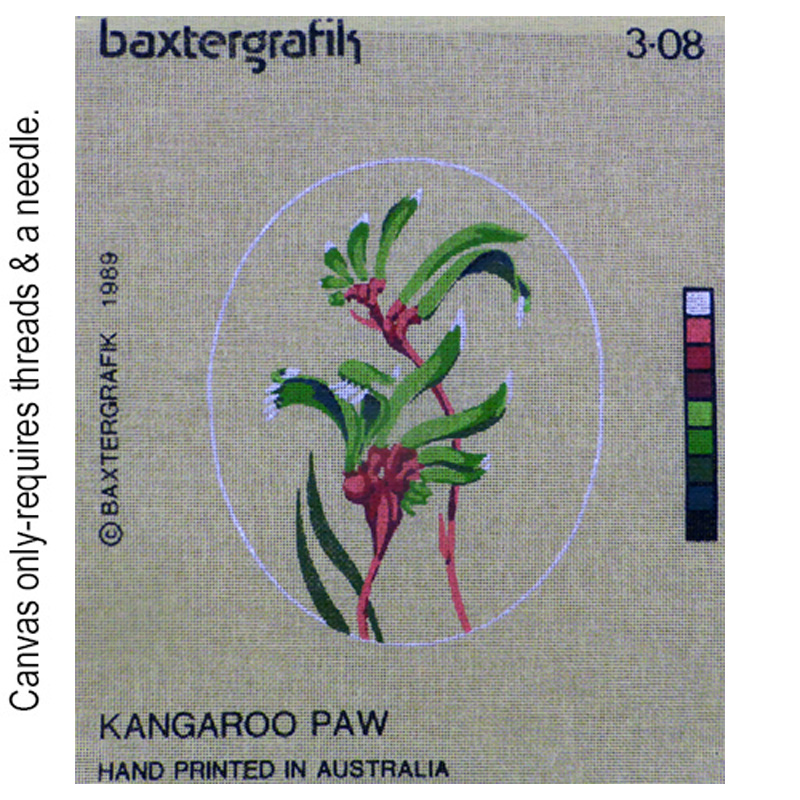 Kangaroo Paw 3-08