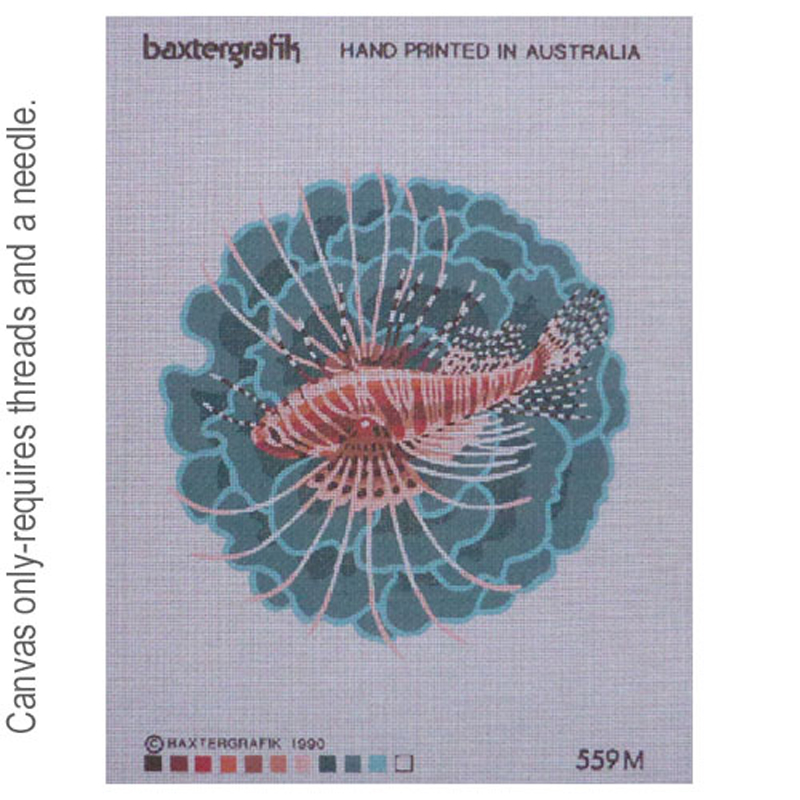 Butterfly Cod 559M