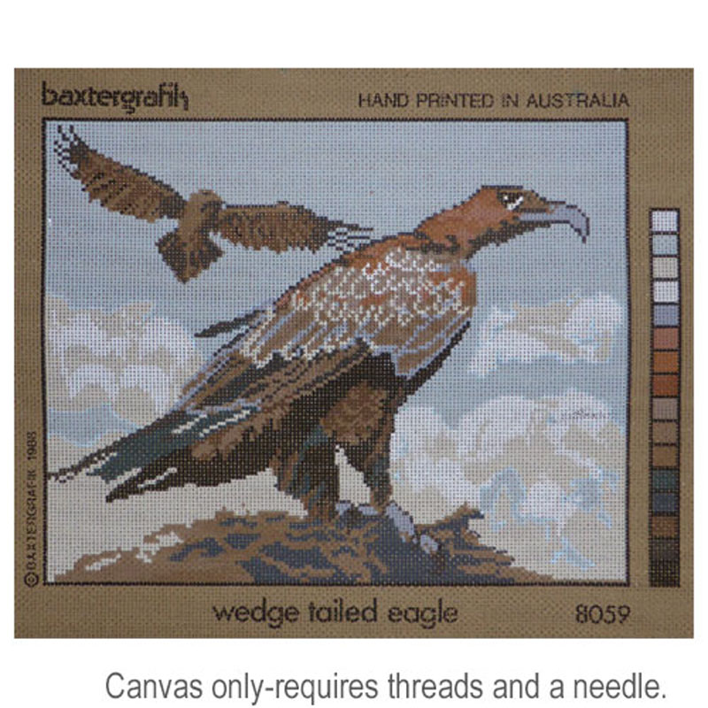 Wedge Tailed Eagle 8059