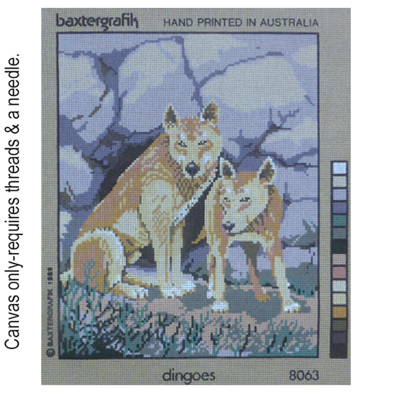 Dingoes 8063