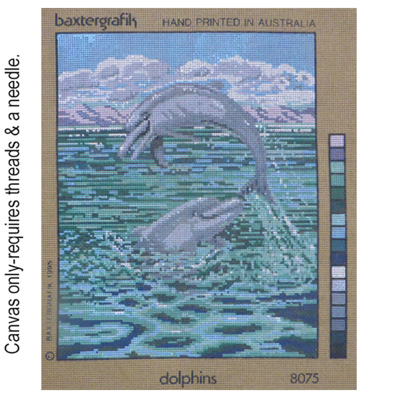 Dolphins 8075