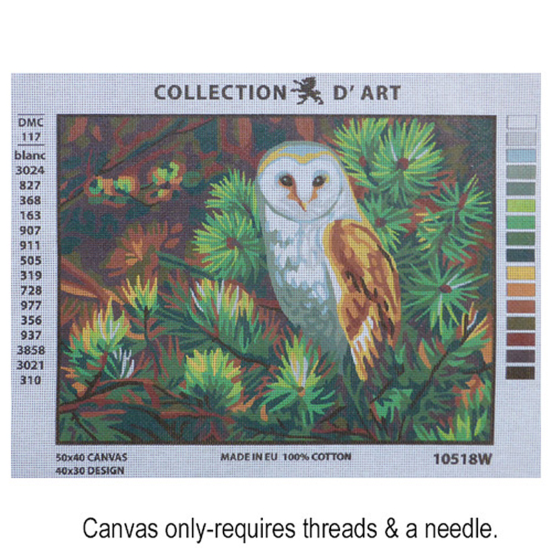 Owl in an Evergreen Pine 10.518w