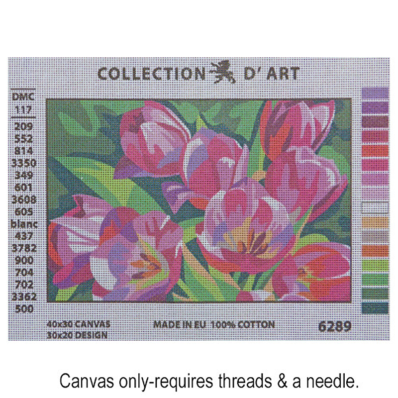 Tulips 6.289