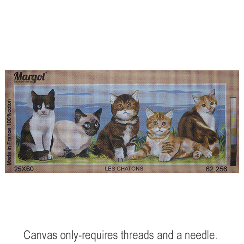 Les Chatons 62.256