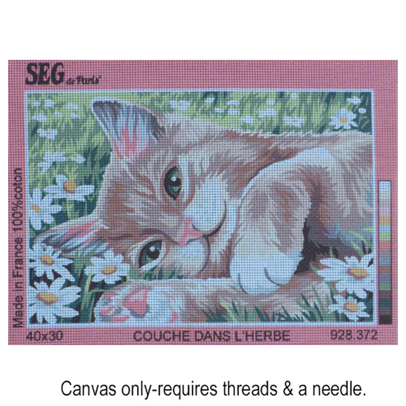 Couche dans l'herbe 928.372