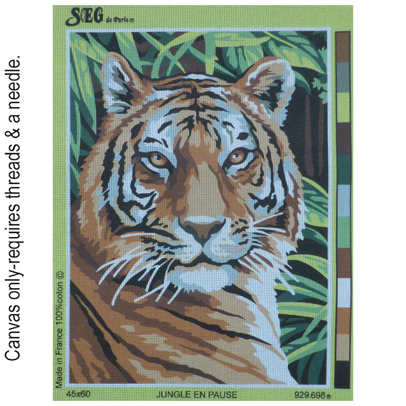 Jungle en pause 929.698