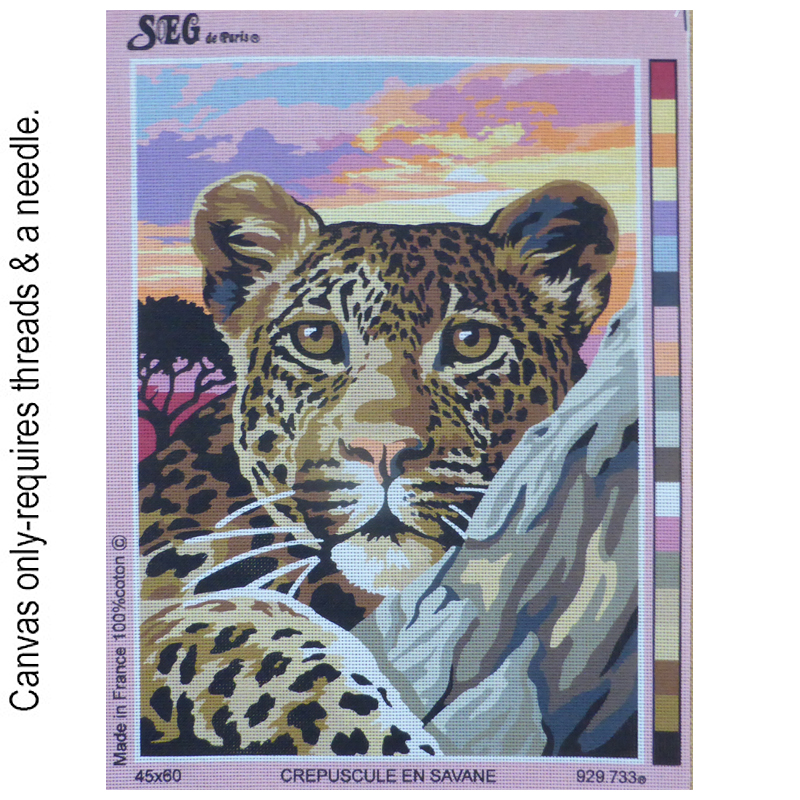 Crepuscule en Savane 929.733