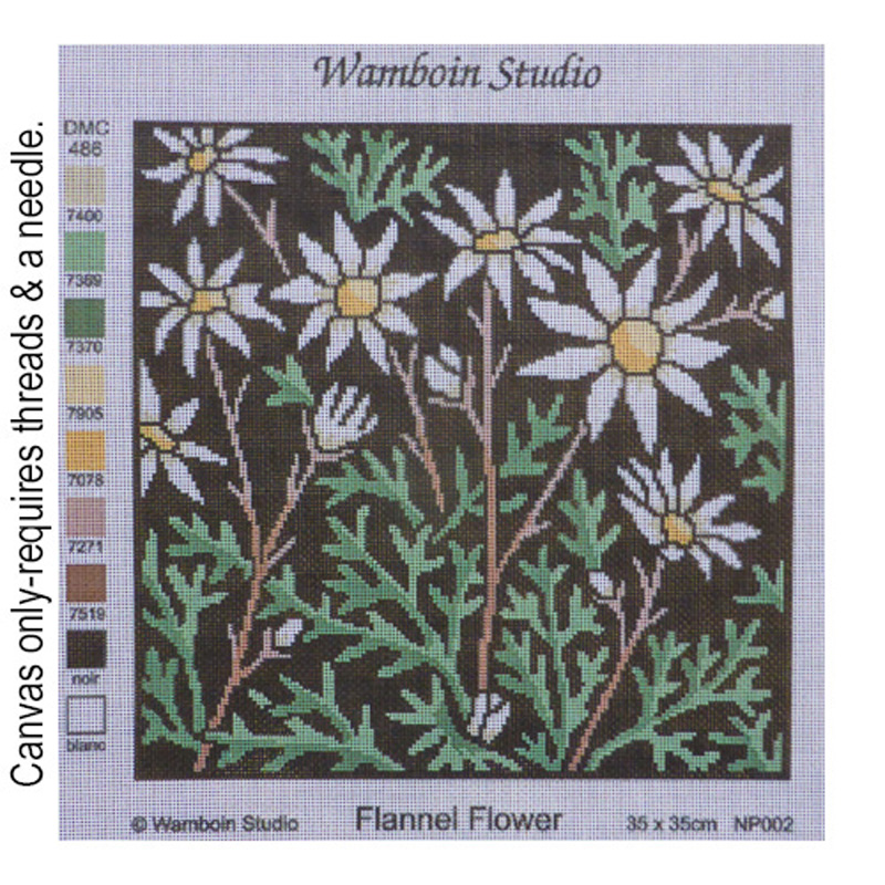 Flannel Flower NP.002