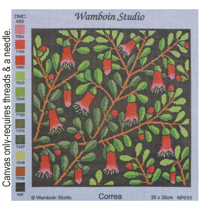 Correa NP.013