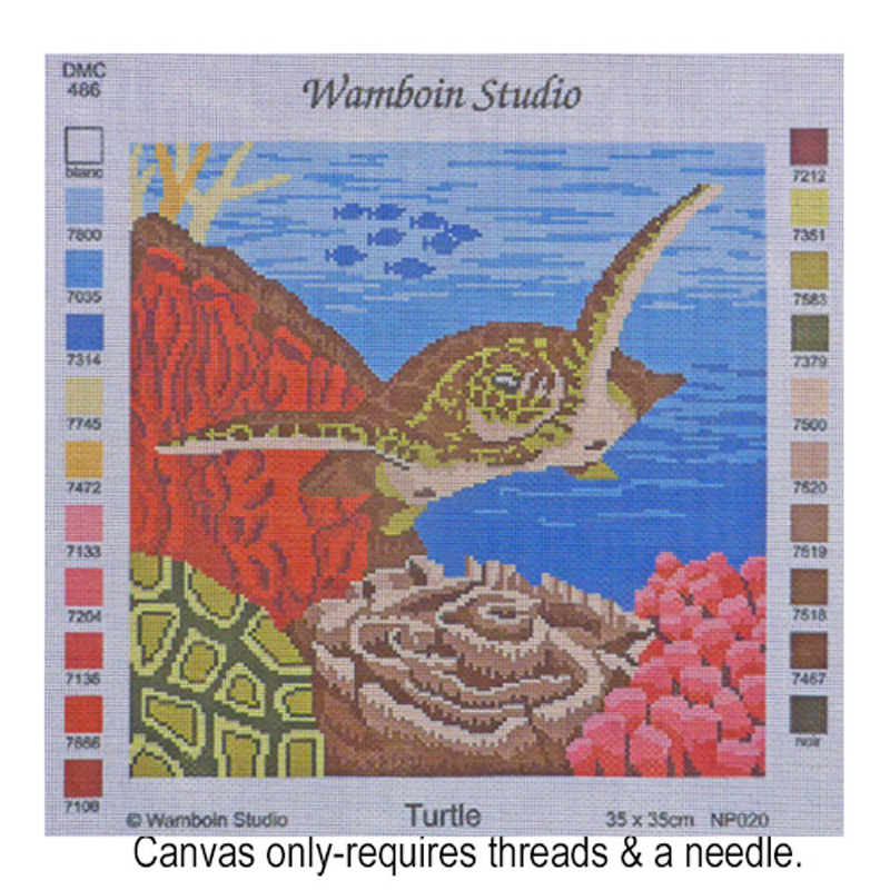 Turtle NP.020