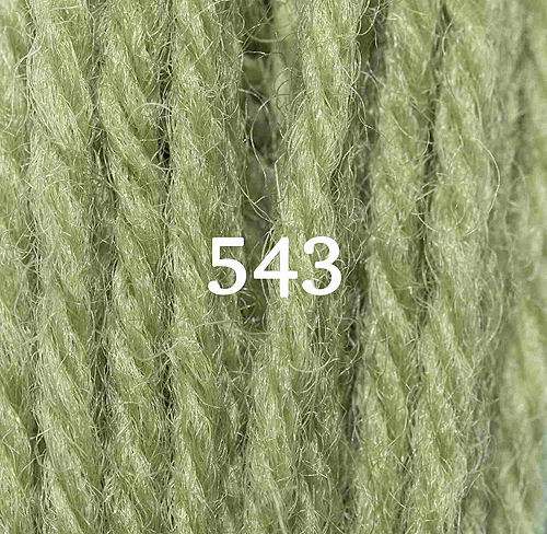 Appletons Crewel Wool Skein 543 Early English Green