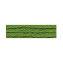 Soie D'Alger 2125 Yellow-Green