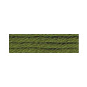 Soie D'Alger 2145 Yellow-Green Warm