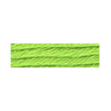 Soie D'Alger 244 Yellow-Green Warm