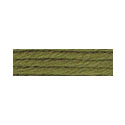 Soie D'Alger 3734 Yellow-Green Warm