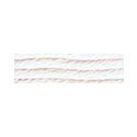 Soie D'Alger 4102 CREME