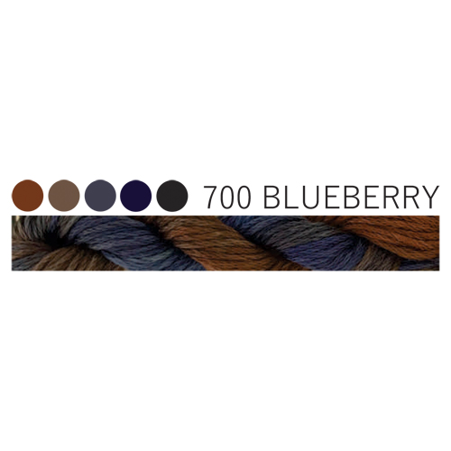 CGT 700 Blueberry Stranded Cotton