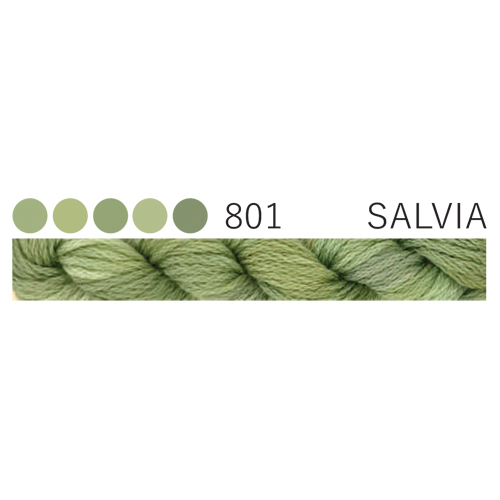 CGT 801 Salvia Stranded Cotton