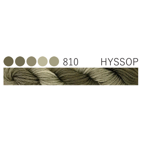 CGT 810 Hyssop Stranded Cotton