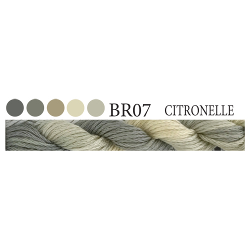CGT BR07 Citronelle Stranded Cotton