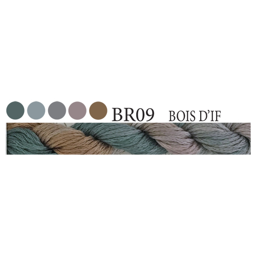 CGT BR09 Bois d'If Stranded Cotton