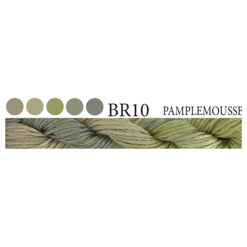CGT BR10 Pamplemousse Stranded Cotton