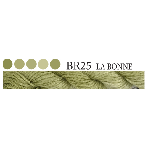 CGT BR25 La Bonne Stranded Cotton