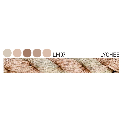 CGT LM07 Lychee Stranded Cotton