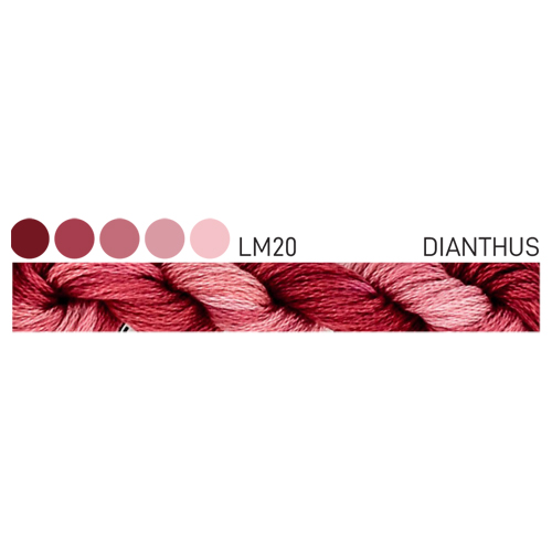 CGT LM20 Dianthus Stranded Cotton
