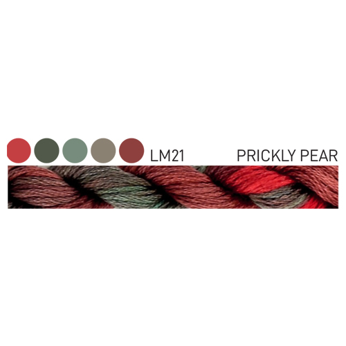 CGT LM21 Prickly Pear Stranded Cotton