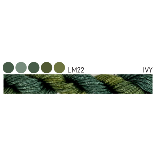 CGT LM22 Ivy Stranded Cotton