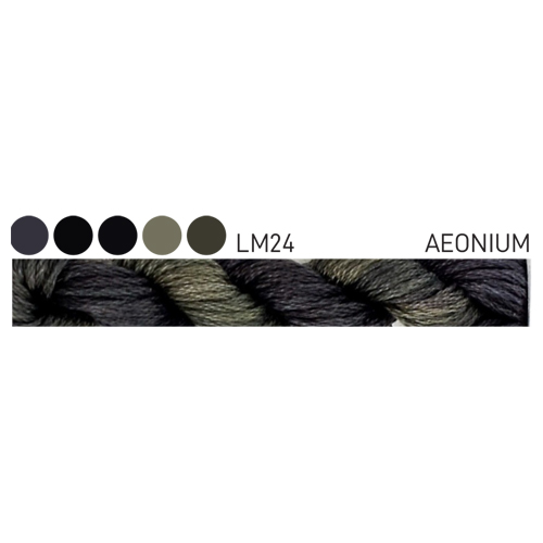 CGT LM24 Aeonium Stranded Cotton
