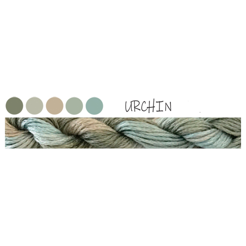 CGT PB23 Urchin Stranded Cotton